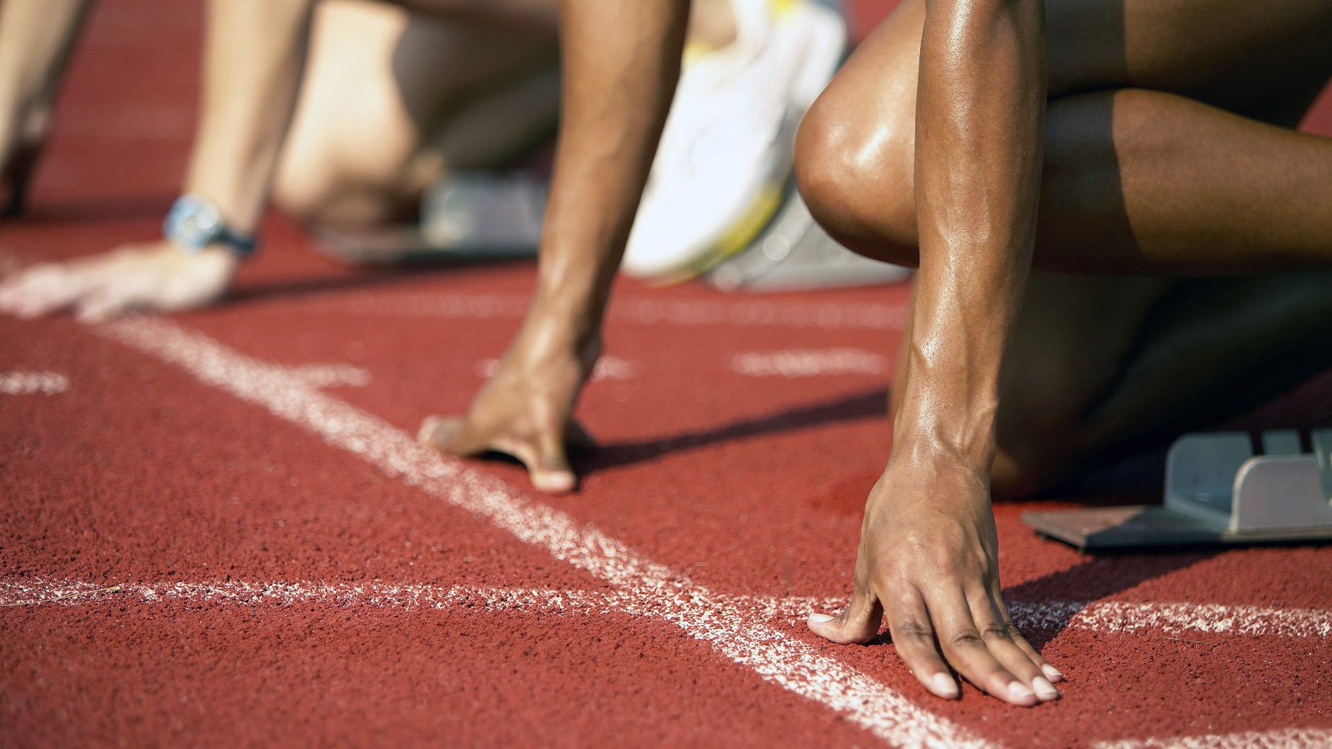 体育场馆安全应急预案制定，体育场馆安全管理方案